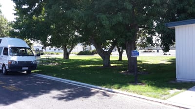 Hauraki District Council Office Carpark - Ngatea