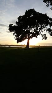 Oraka Reserve