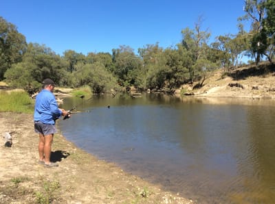 Bengalla Reserve photo 2