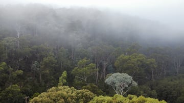 Things to do and places to stay in Australia - Photo 2