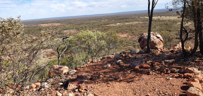 Swan Vale Rest Area photo 2
