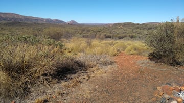 Neil Hargrave Lookout