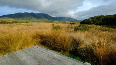 Gouland Downs Campsite