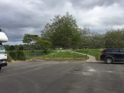 Kowhai Park