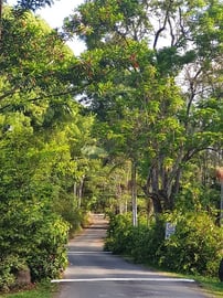 Mount Warning Rainforest Holiday Park