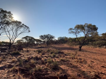 Jump Up Lookout Free Camping Area